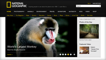 网络短信在线发送